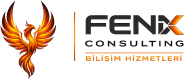 Fenix Consulting Web Tasarım ve Sosyal Medya Ajansı